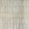 White Bamboo
